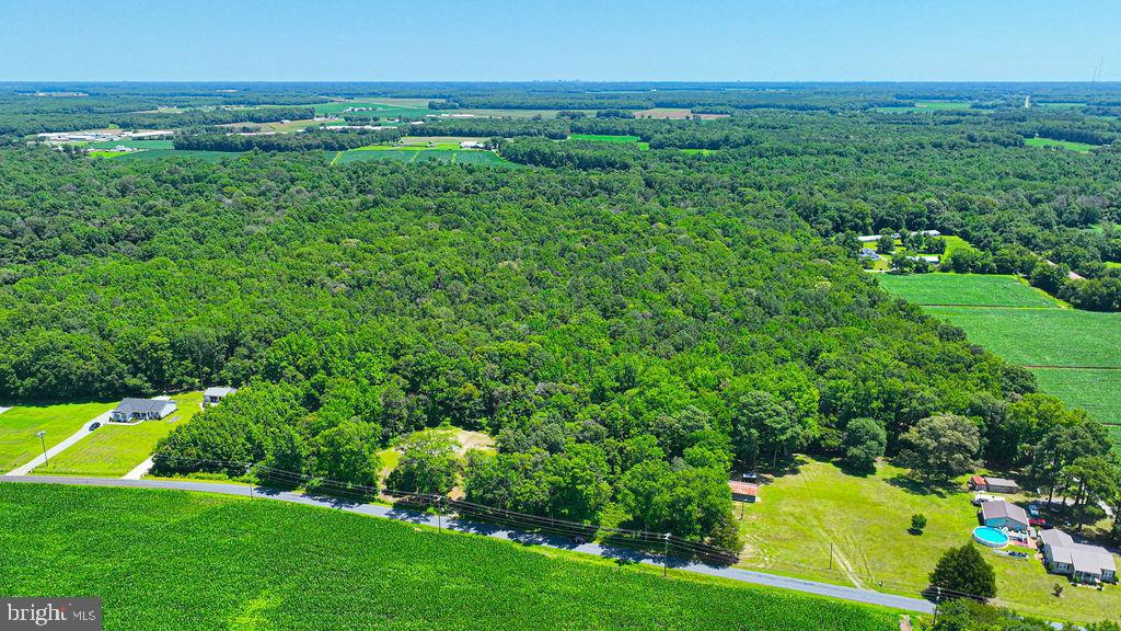 7775 New Hope Road Willards, MD 21874 - Photo 32 of 37