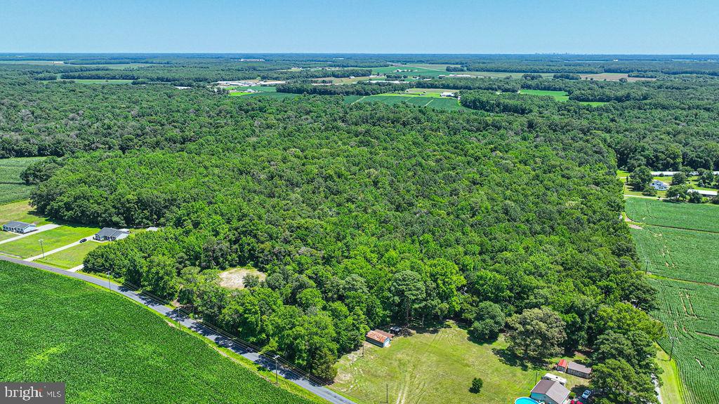 7775 New Hope Road Willards, MD 21874 - Photo 33 of 37