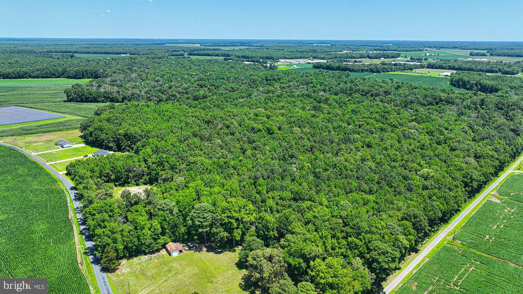 7775 New Hope Road Willards, MD 21874 - Photo 34 of 37