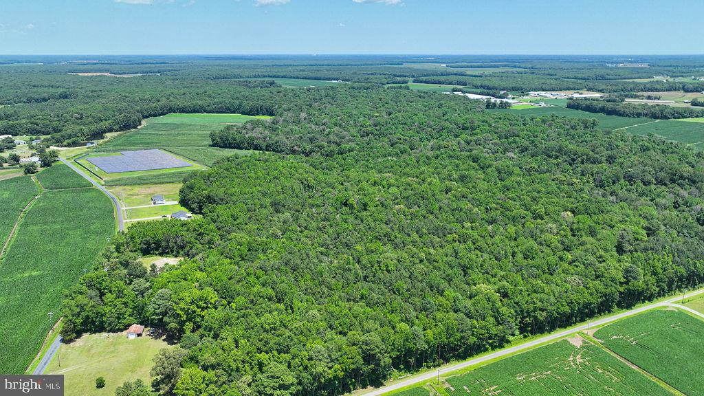 7775 New Hope Road Willards, MD 21874 - Photo 36 of 37