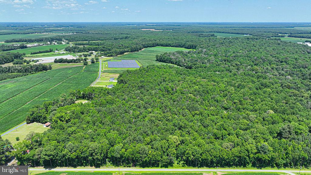 7775 New Hope Road Willards, MD 21874 - Photo 37 of 37