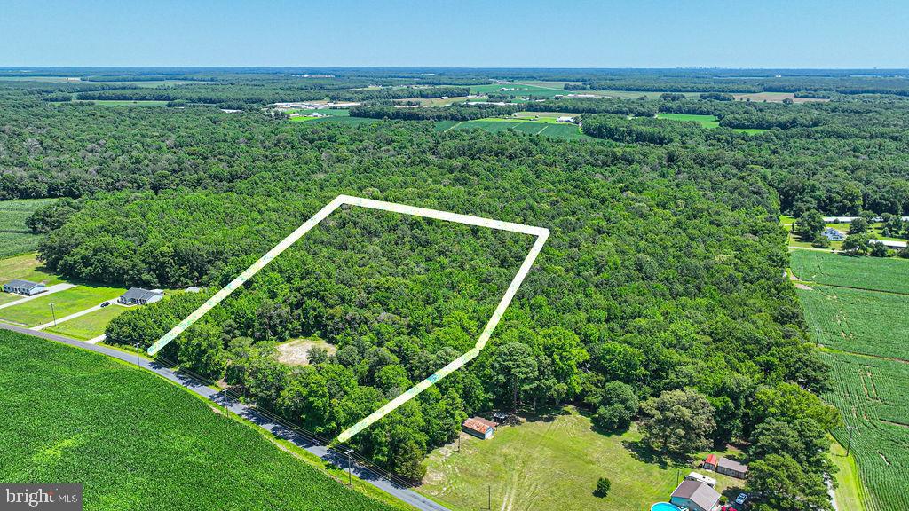 7775 New Hope Road Willards, MD 21874 - Photo 4 of 37