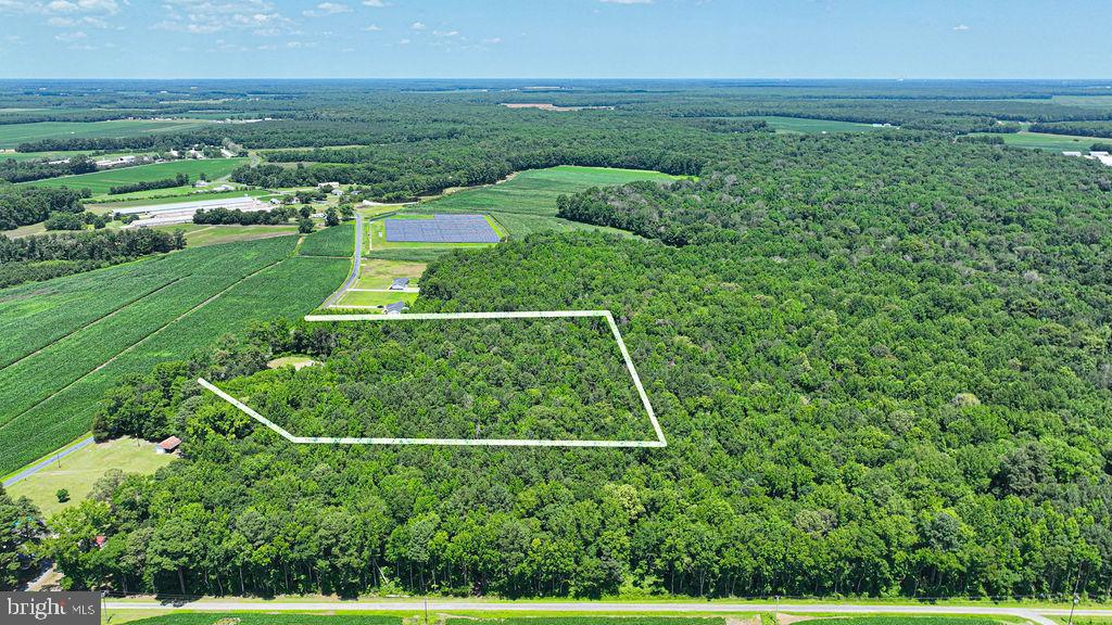 7775 New Hope Road Willards, MD 21874 - Photo 7 of 37