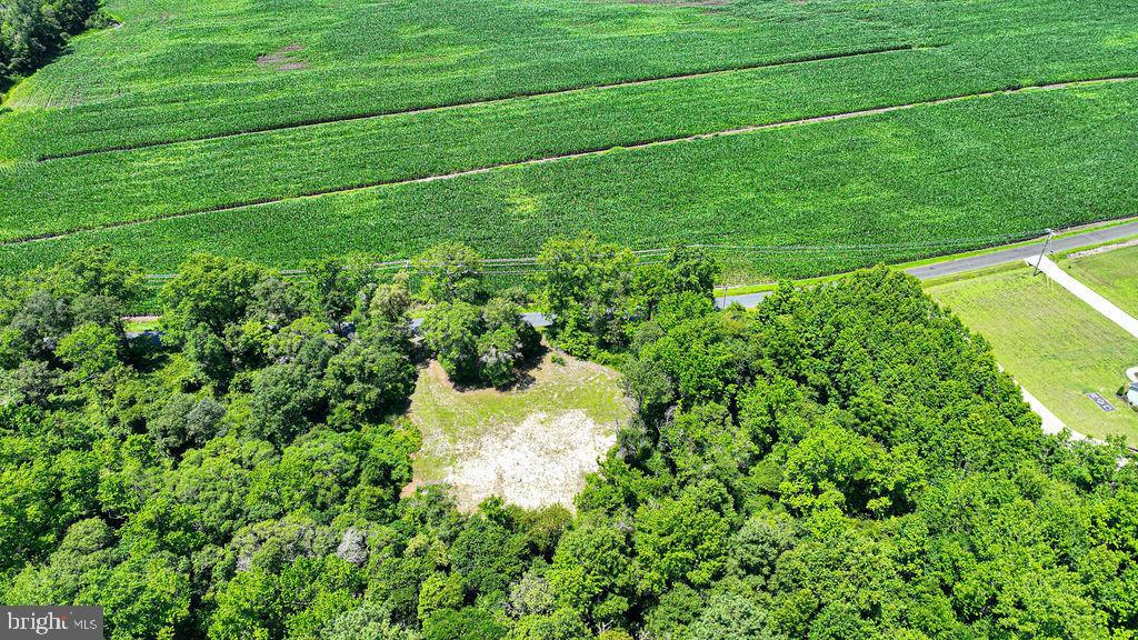 7775 New Hope Road Willards, MD 21874 - Photo 8 of 37