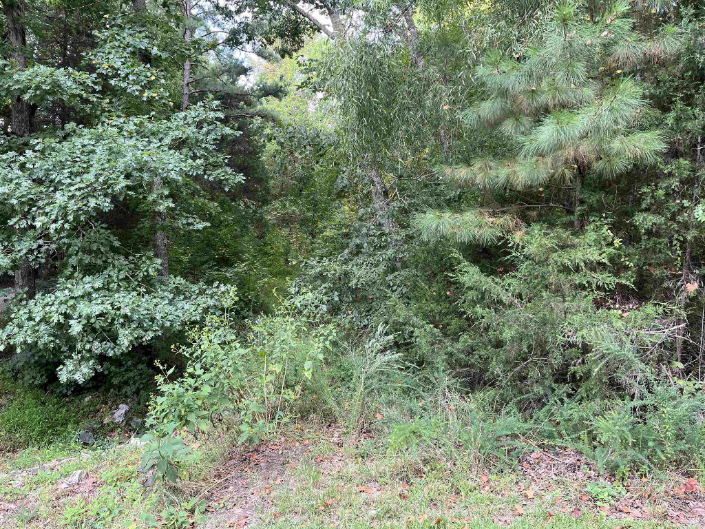1788 Beechtree Trail Kittrell, NC 27544 - Photo 2 of 10 an aerial view of residential house with space and trees all around