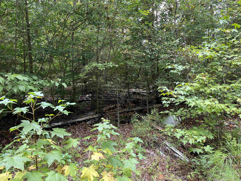 1788 Beechtree Trail Kittrell, NC 27544 - Photo 4 of 10 a backyard of a house with lots of green space