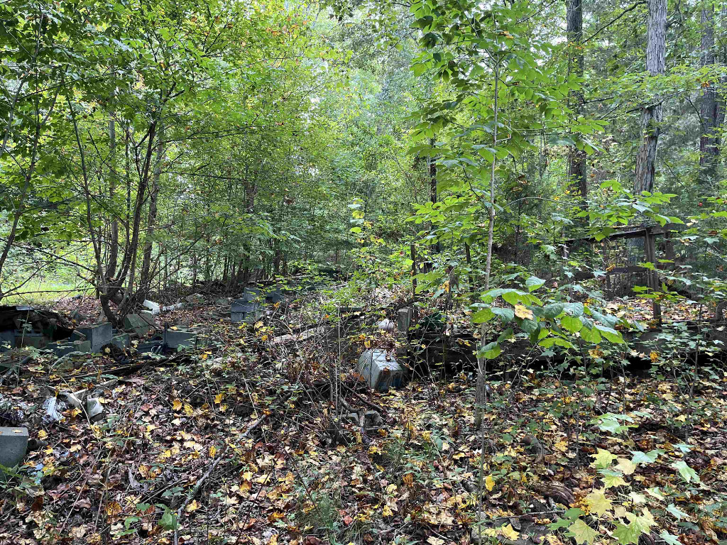 1788 Beechtree Trail Kittrell, NC 27544 - Photo 5 of 10 a view of a large yard with lots of green space