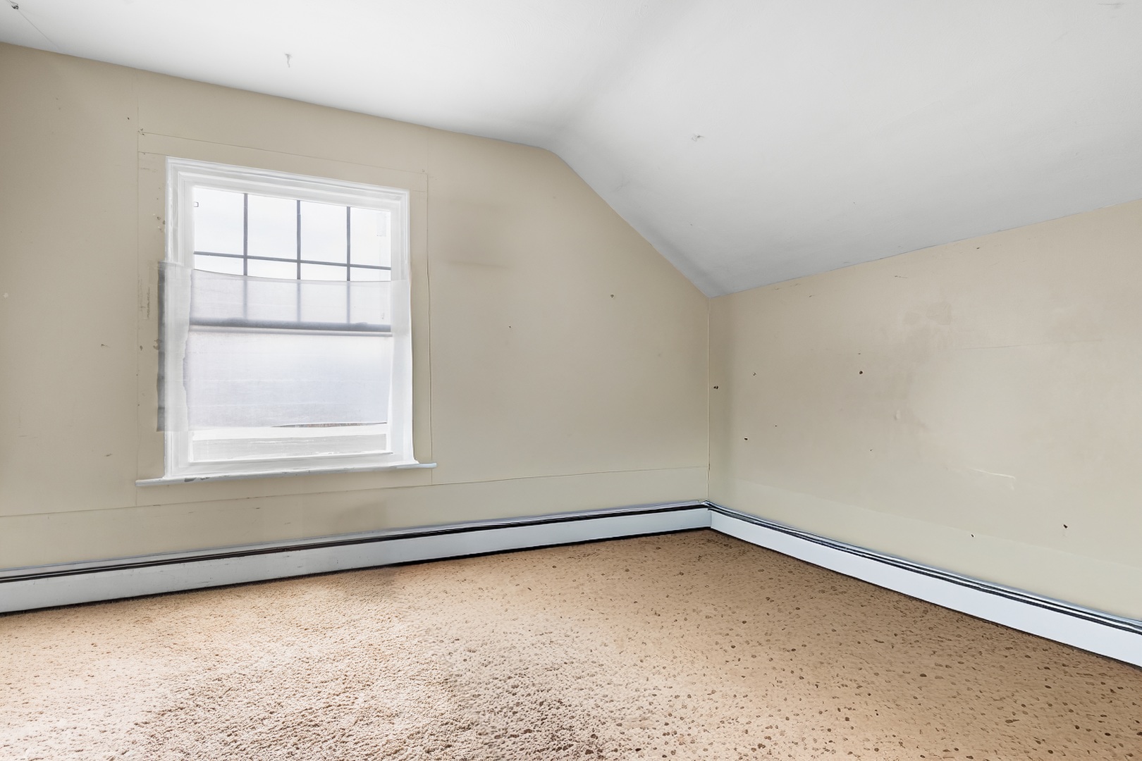 208 Moseley Street Elgin, IL 60123 - Photo 13 of 23