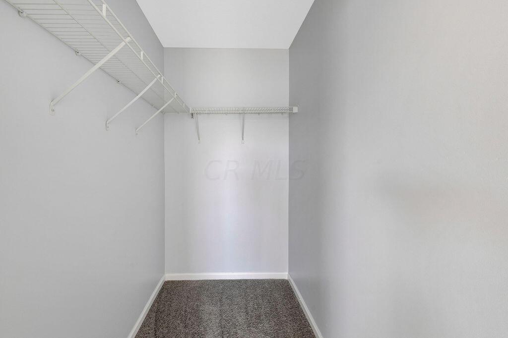 6345 Needletail Road, Unit 24634 Columbus, OH 43230 - Photo 19 of 58 • New gray carpet ~ 2021 • Gray painted walls • Ventilated shelving • Ceiling light • Attic access