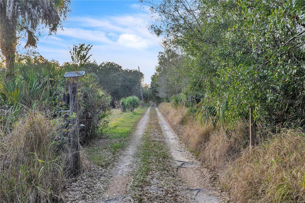 8056 Southwest Horse Creek Road Arcadia, FL 34266 - Photo 6 of 38