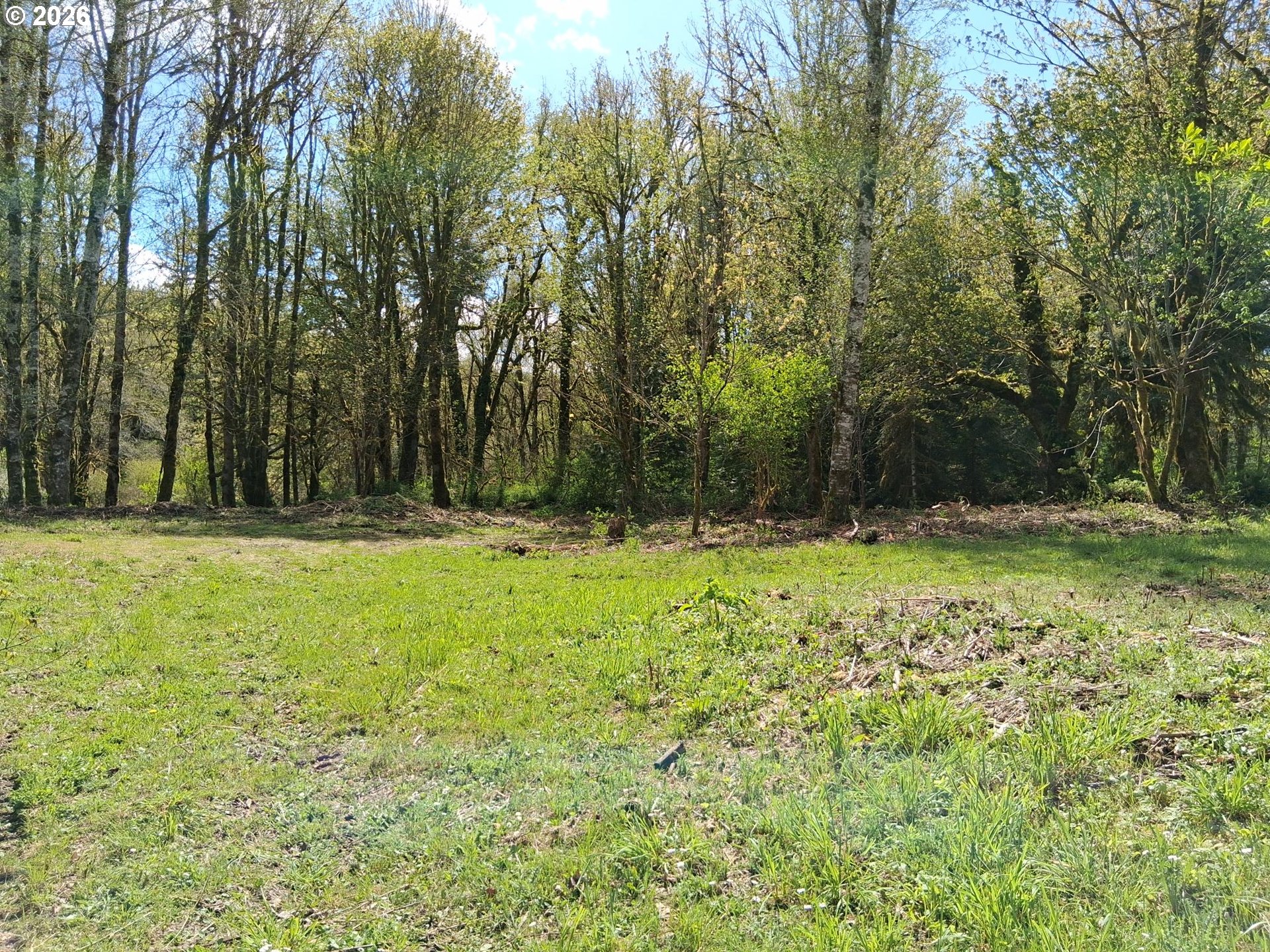 50269 Southwest Hebo Road Grand Ronde, OR 97347 - Photo 26 of 48