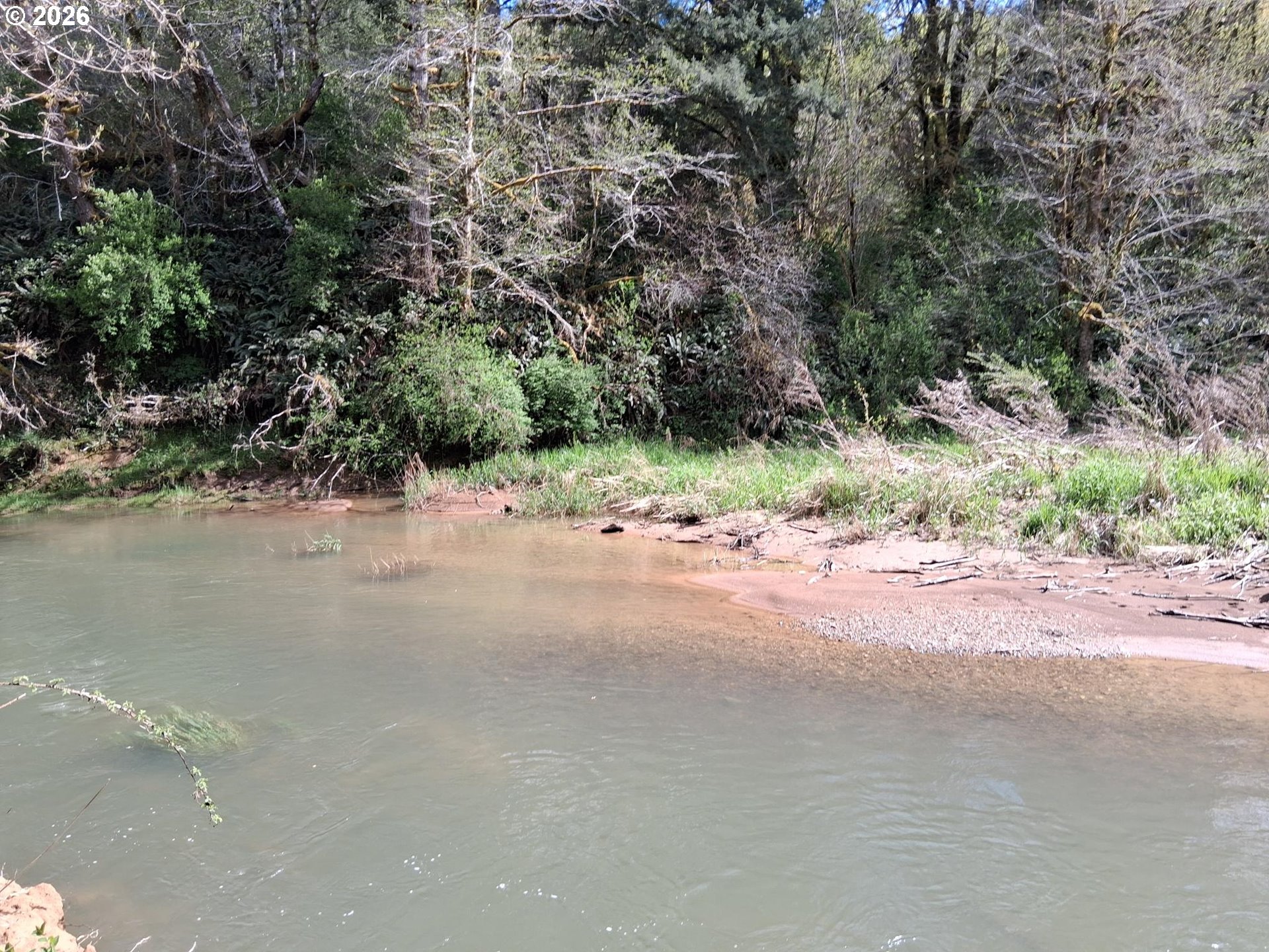 50269 Southwest Hebo Road Grand Ronde, OR 97347 - Photo 28 of 48
