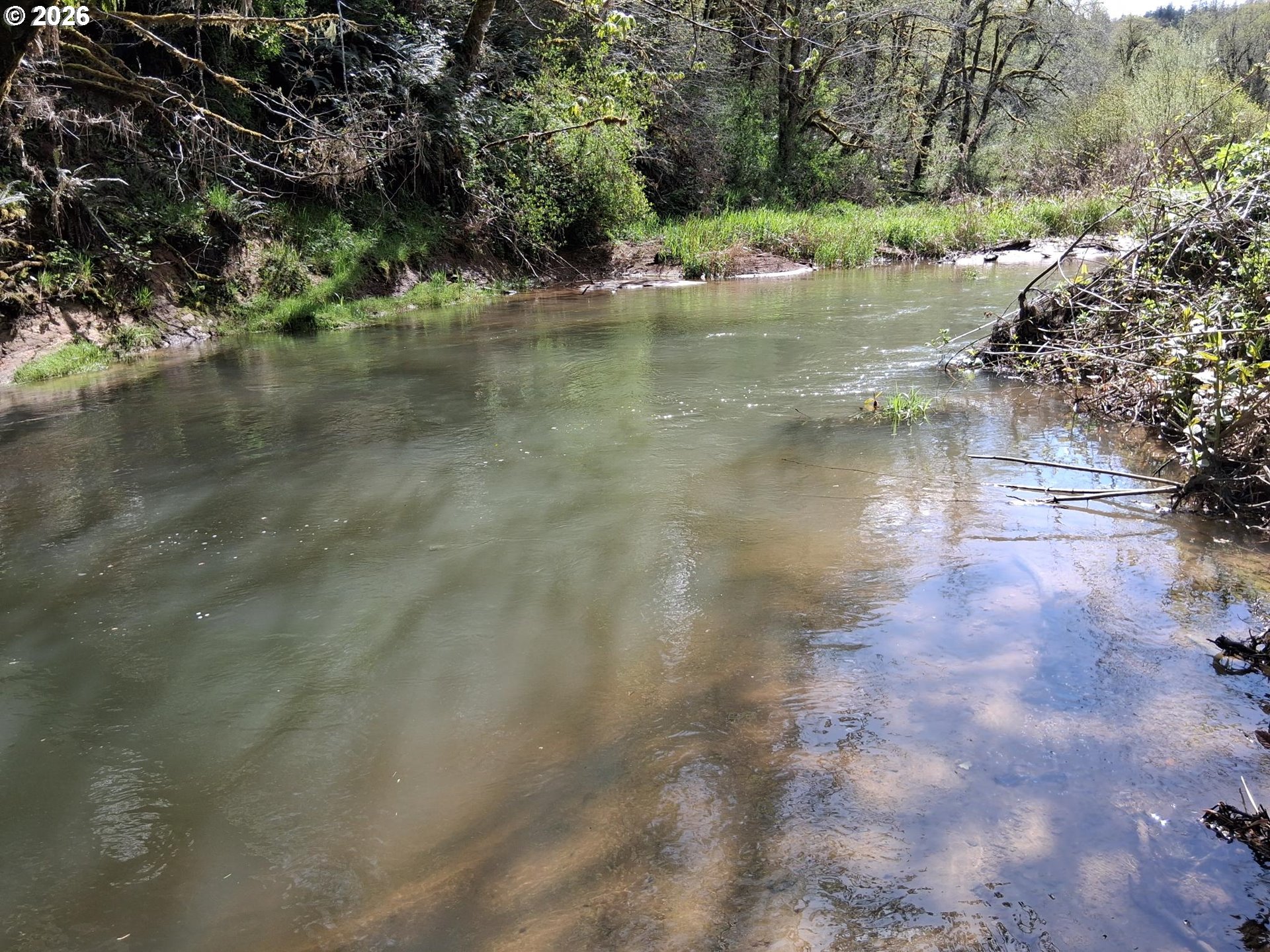 50269 Southwest Hebo Road Grand Ronde, OR 97347 - Photo 30 of 48