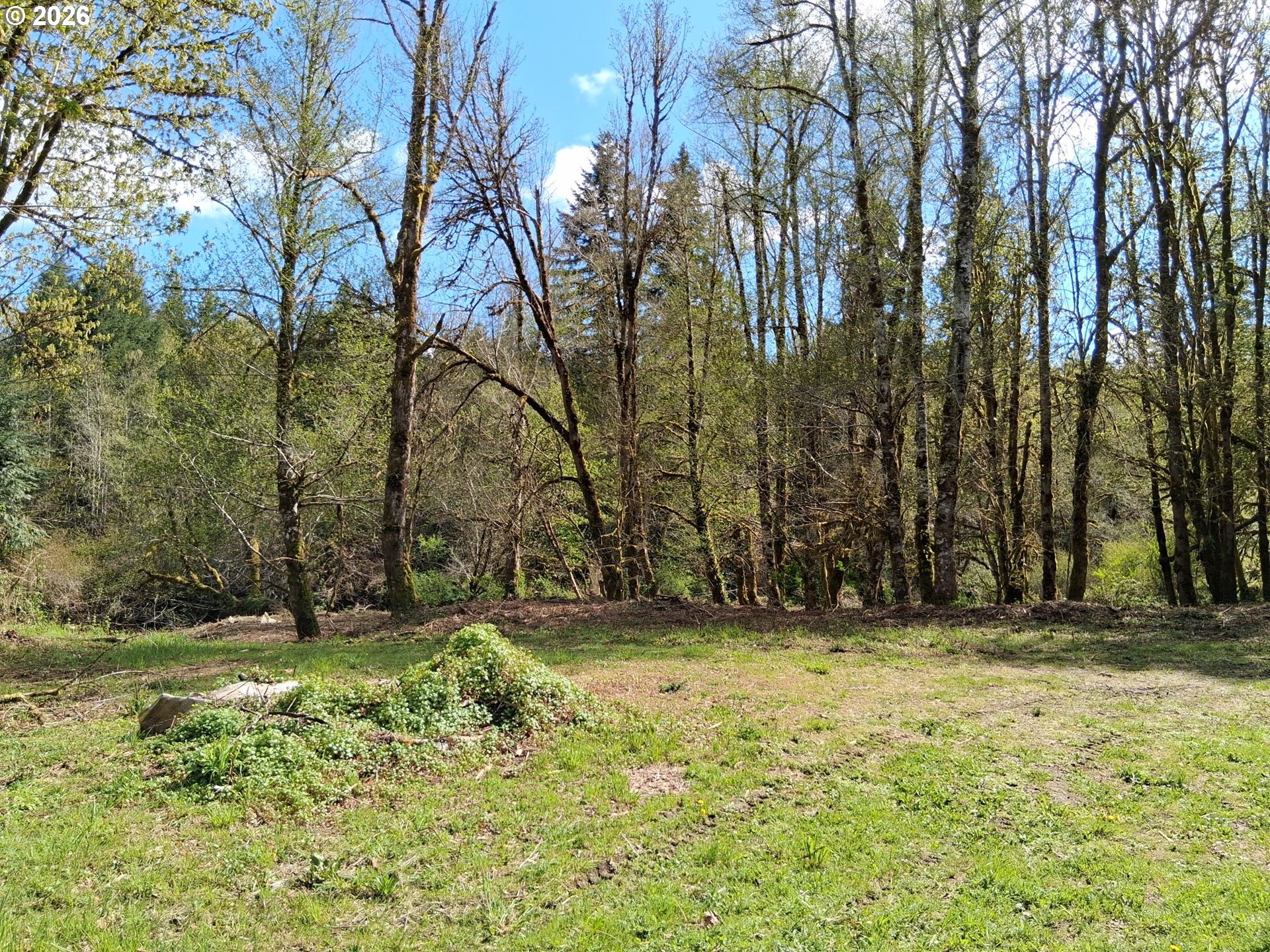 50269 Southwest Hebo Road Grand Ronde, OR 97347 - Photo 31 of 48