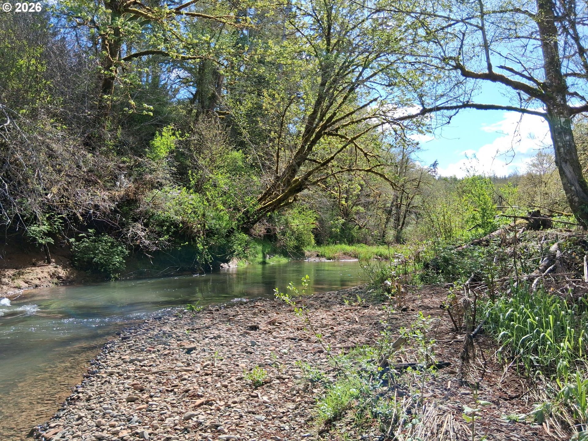 50269 Southwest Hebo Road Grand Ronde, OR 97347 - Photo 32 of 48