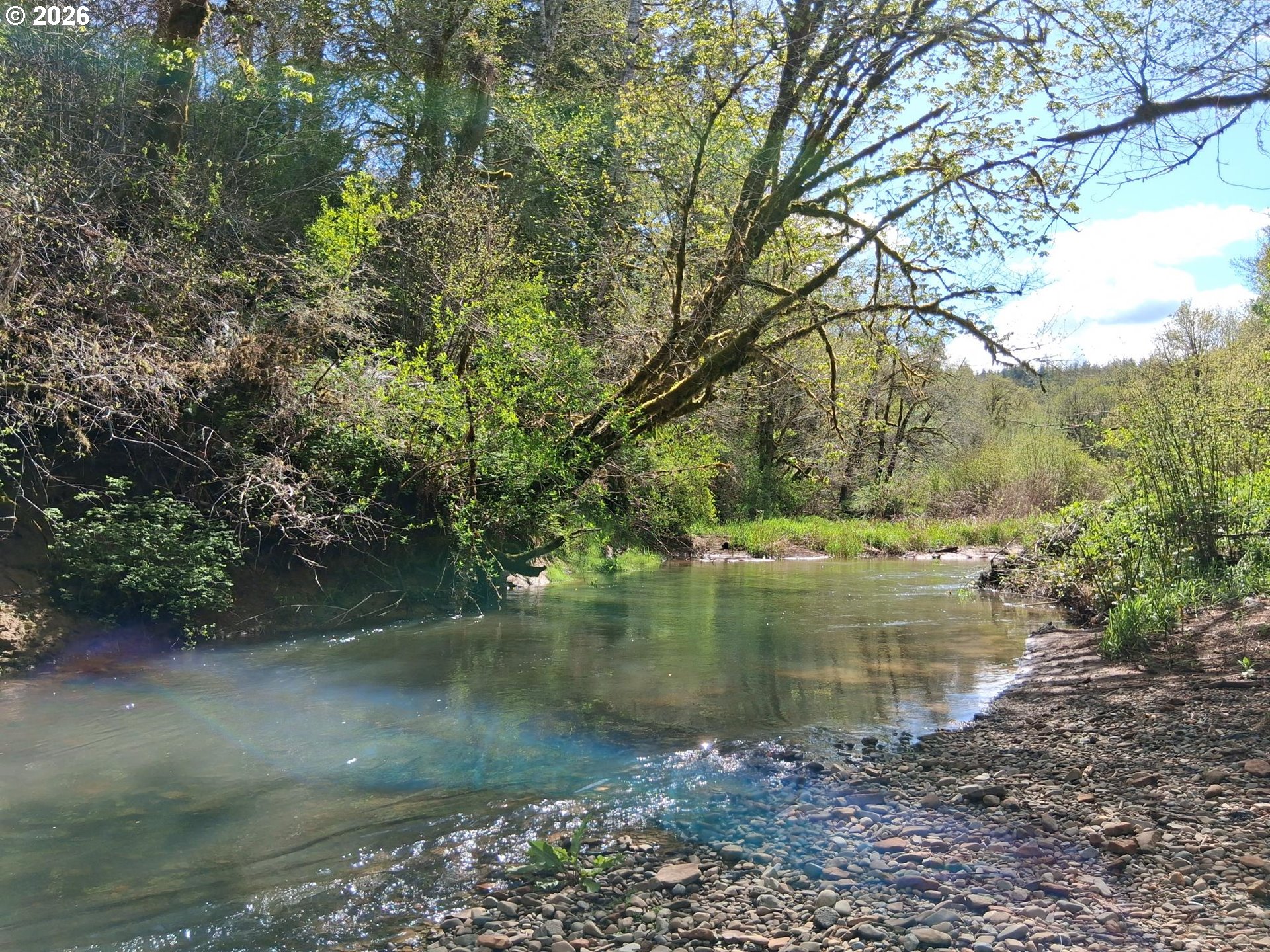 50269 Southwest Hebo Road Grand Ronde, OR 97347 - Photo 33 of 48