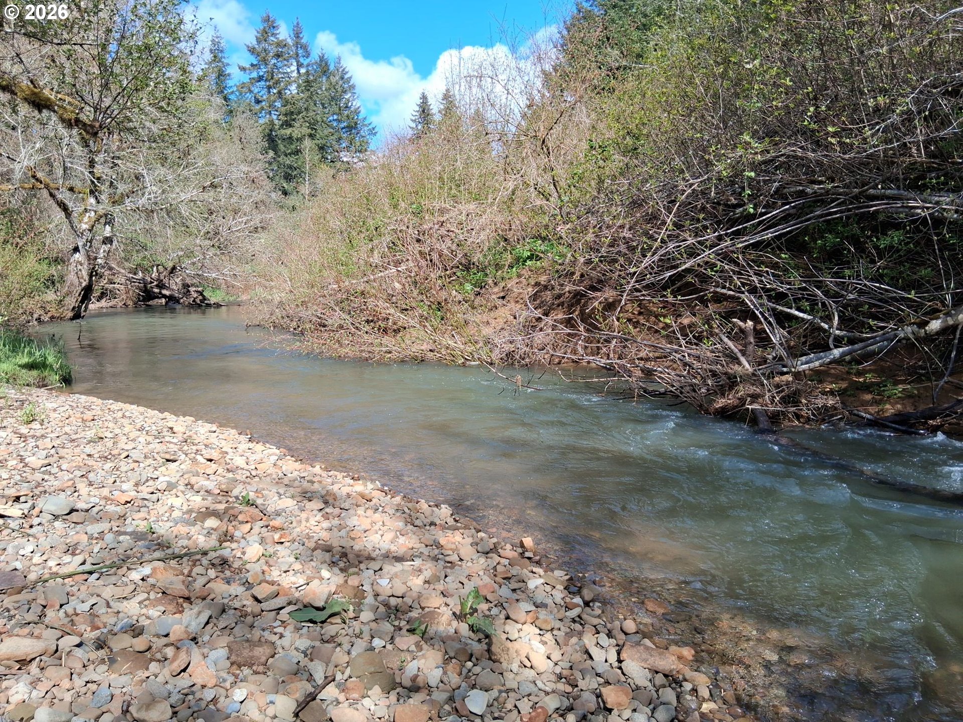 50269 Southwest Hebo Road Grand Ronde, OR 97347 - Photo 34 of 48