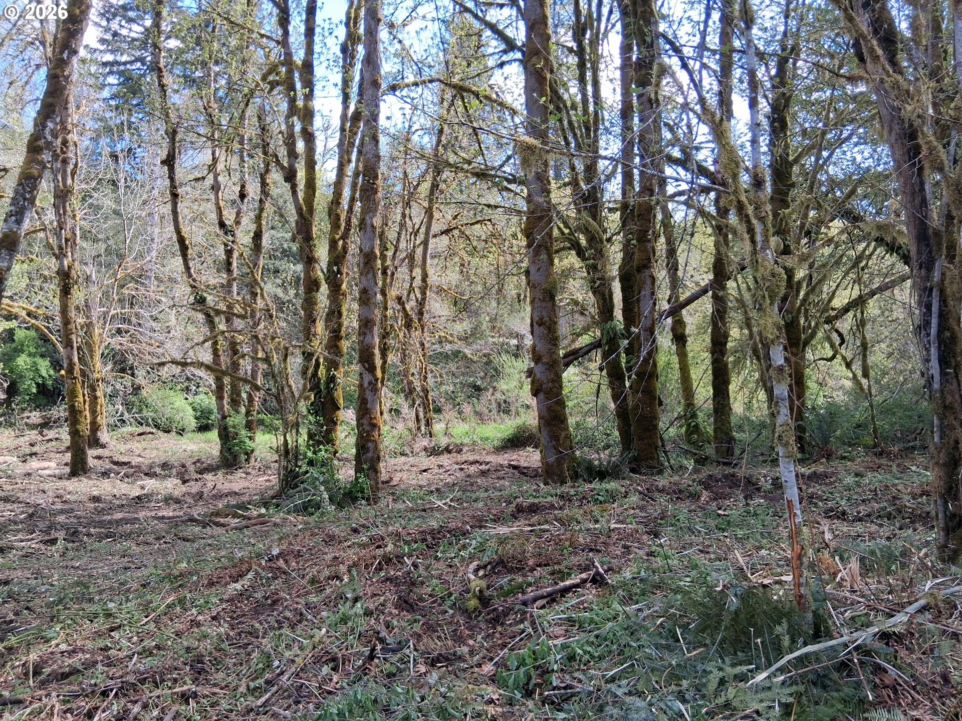 50269 Southwest Hebo Road Grand Ronde, OR 97347 - Photo 36 of 48