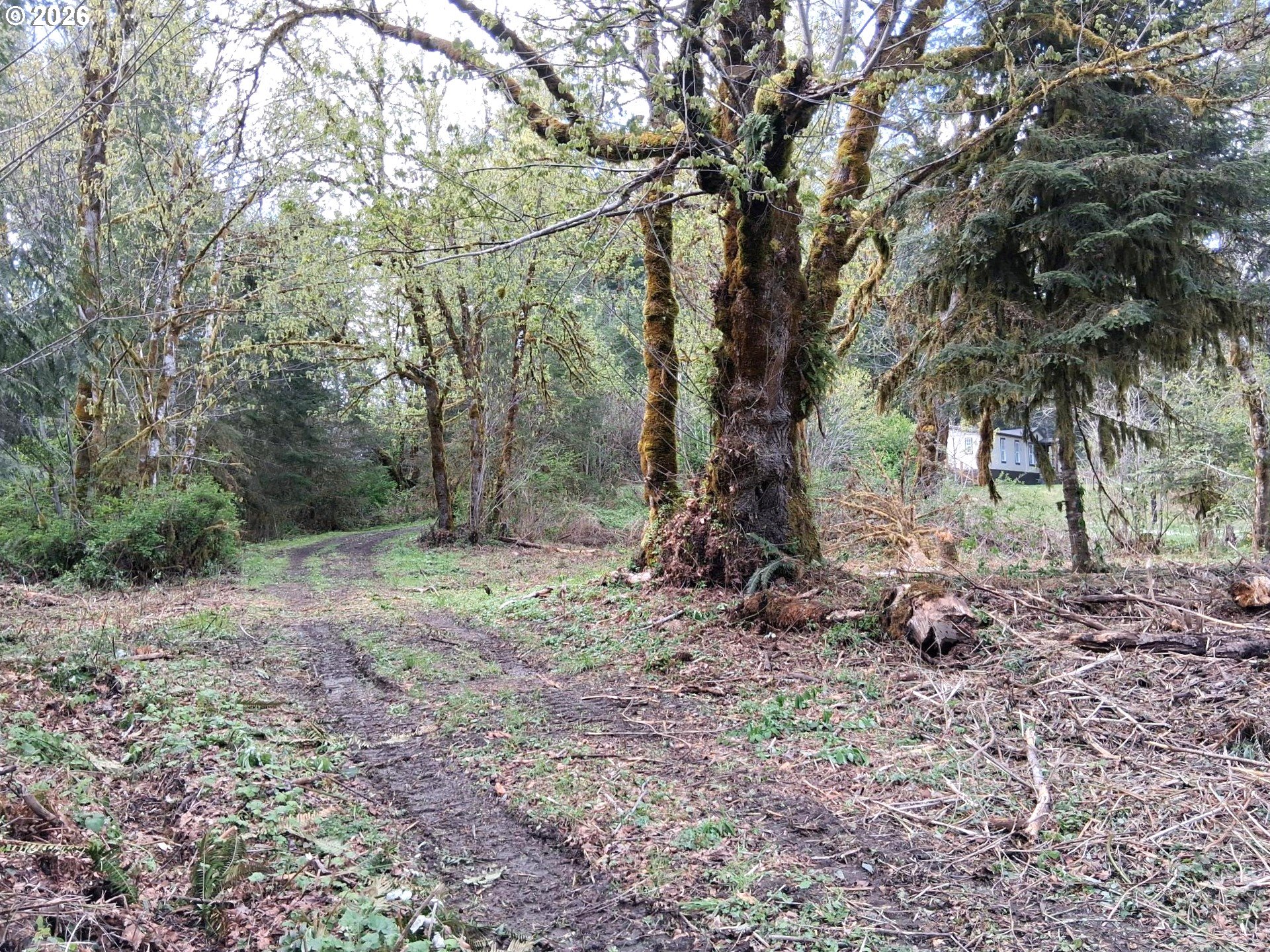 50269 Southwest Hebo Road Grand Ronde, OR 97347 - Photo 38 of 48 River Access