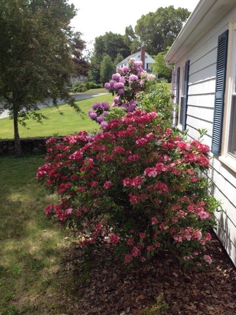 66 Lakeview Road Lincoln, RI 02865 - Photo 32 of 32 Gallery Image 32
