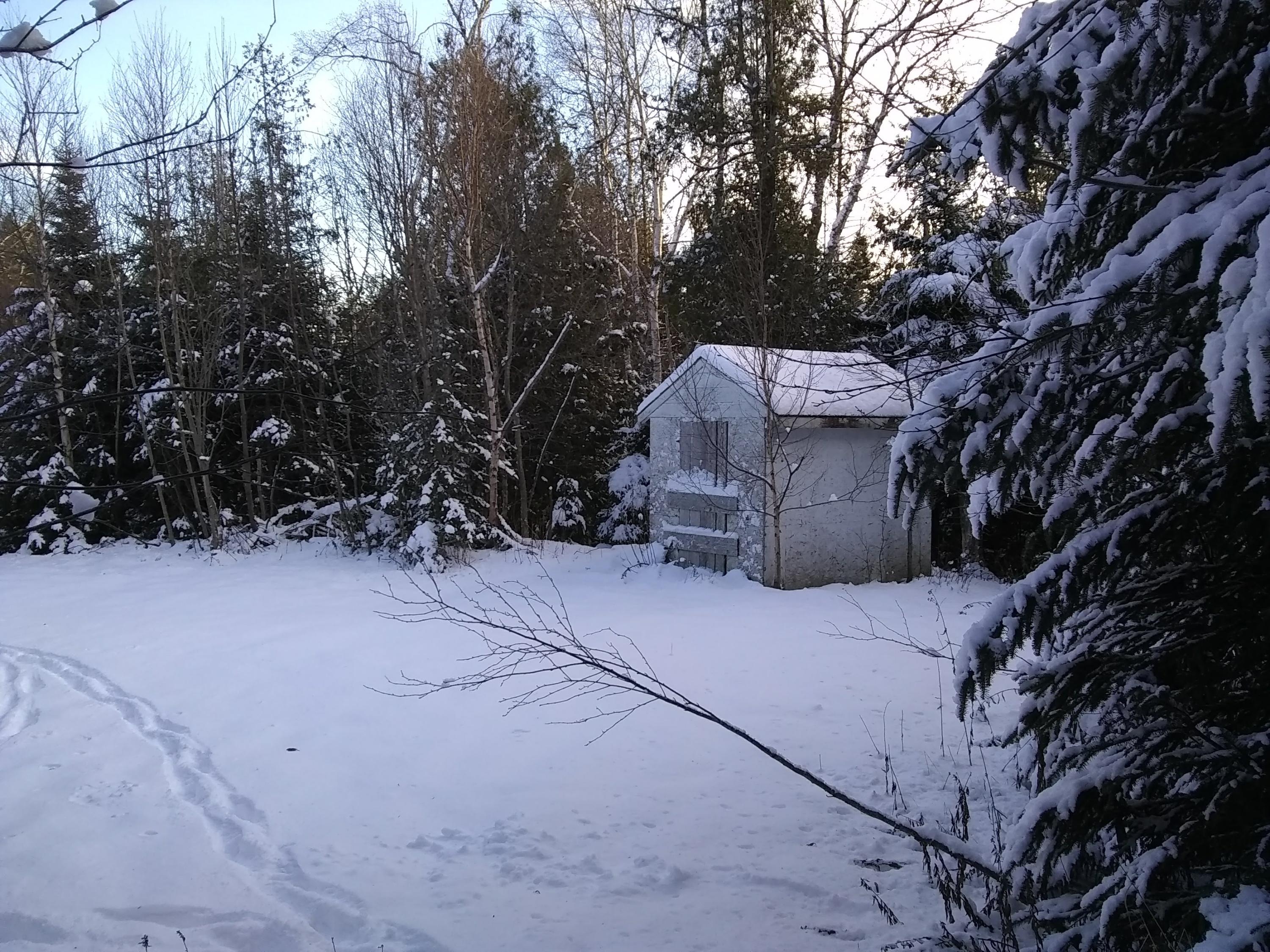 Map 1-lot Map 1-lot Boot Cove Road Lubec, ME 04652 - Photo 5 of 7 Tracks in the snow