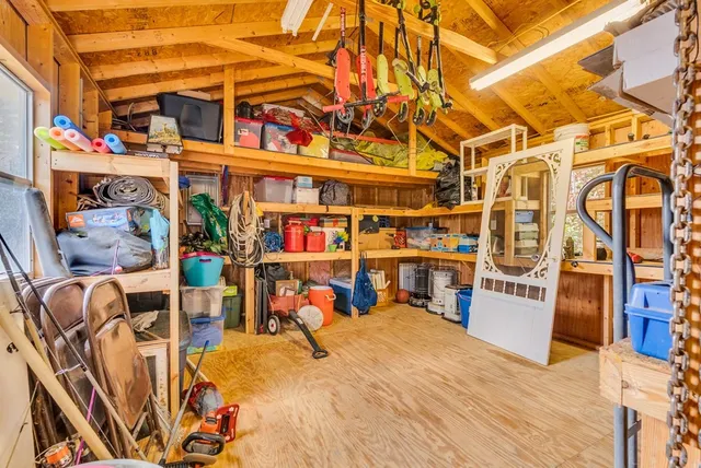 a large body of water next to a tall tree