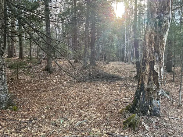 $60,000 | 2 Leshures Road, Rowe, MA 01367