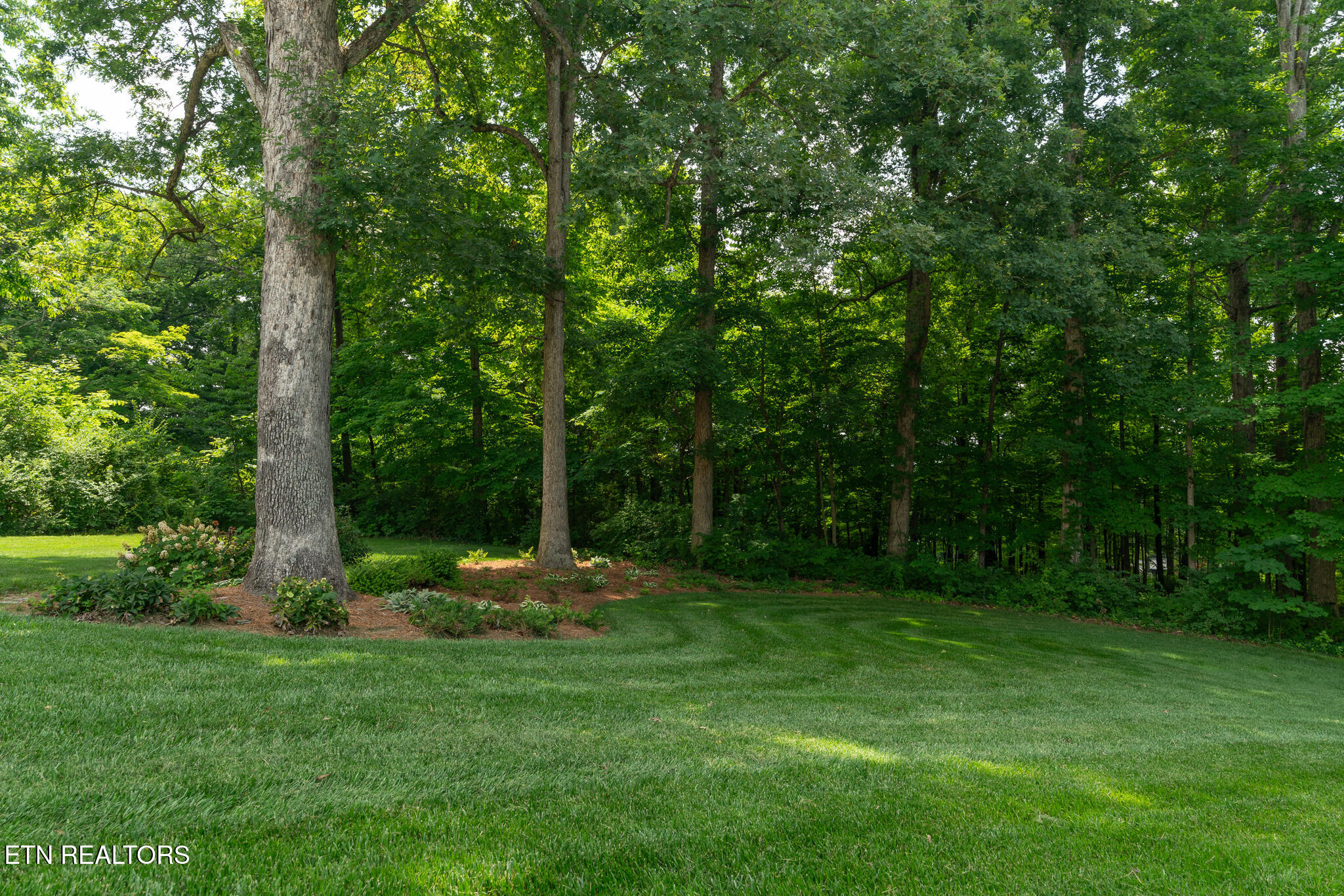 6701 Ridgerock Lane Knoxville, TN 37909 - Photo 57 of 60 untitled-66