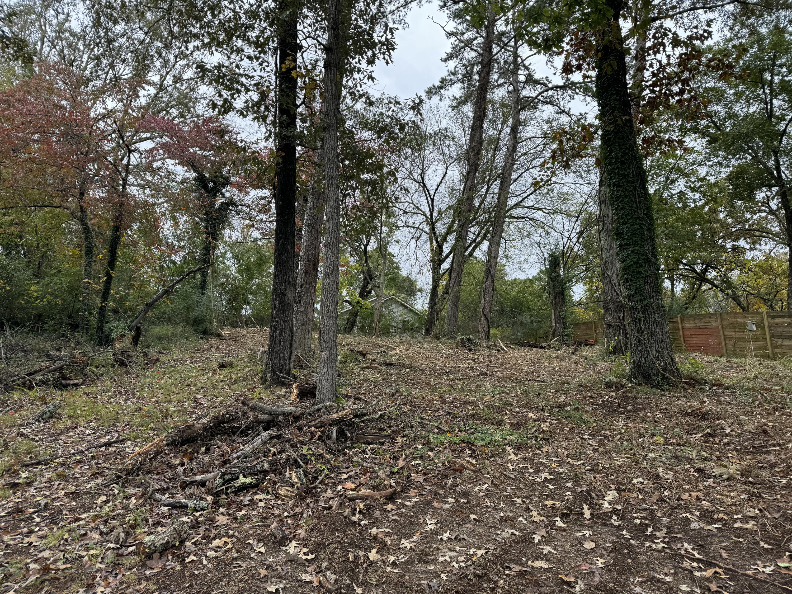 217 West Ridgewood Avenue Chattanooga, TN 37415 - Photo 17 of 18 IMG_20251030_214029