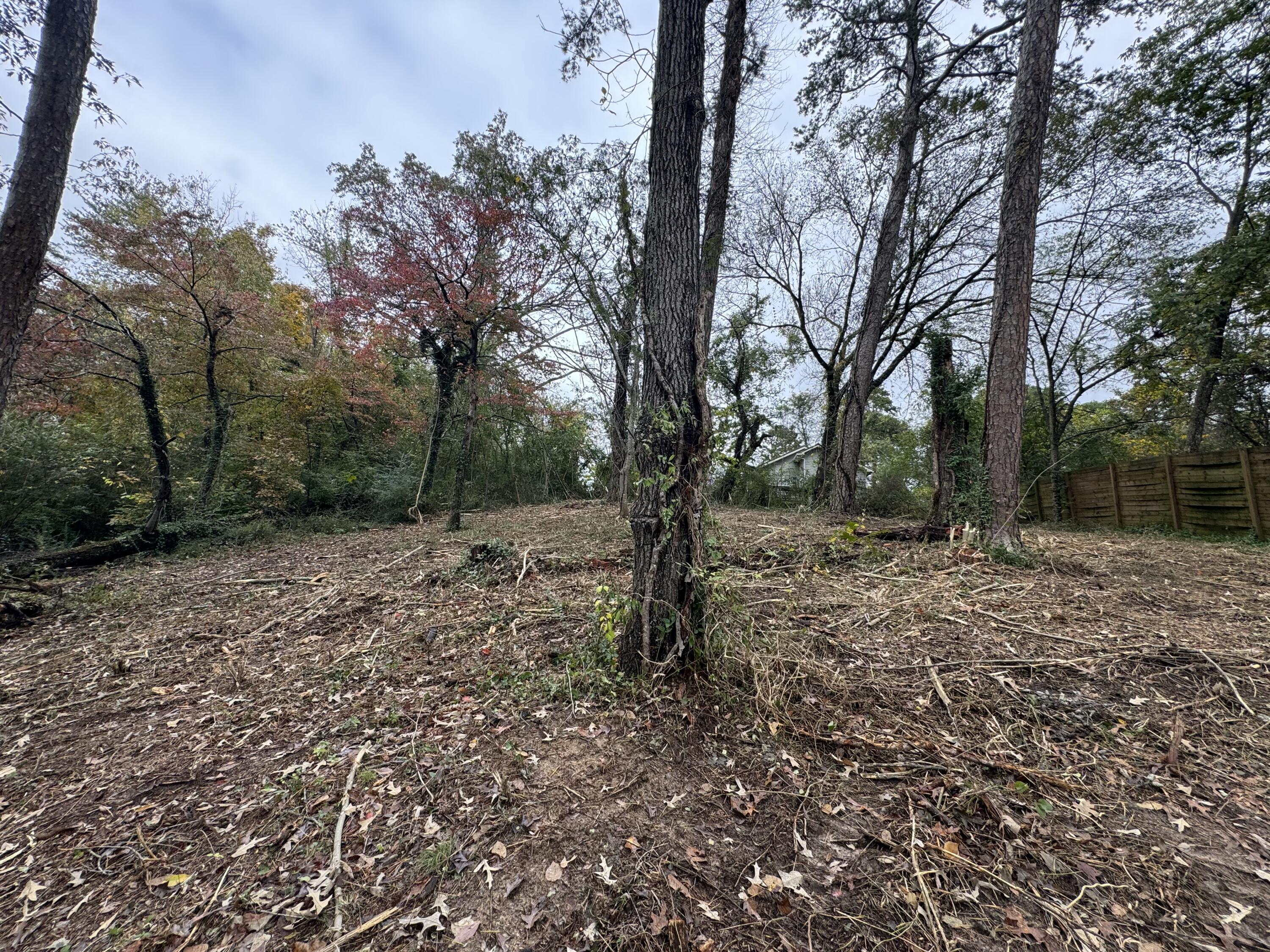 217 West Ridgewood Avenue Chattanooga, TN 37415 - Photo 7 of 18 IMG_20251030_213923