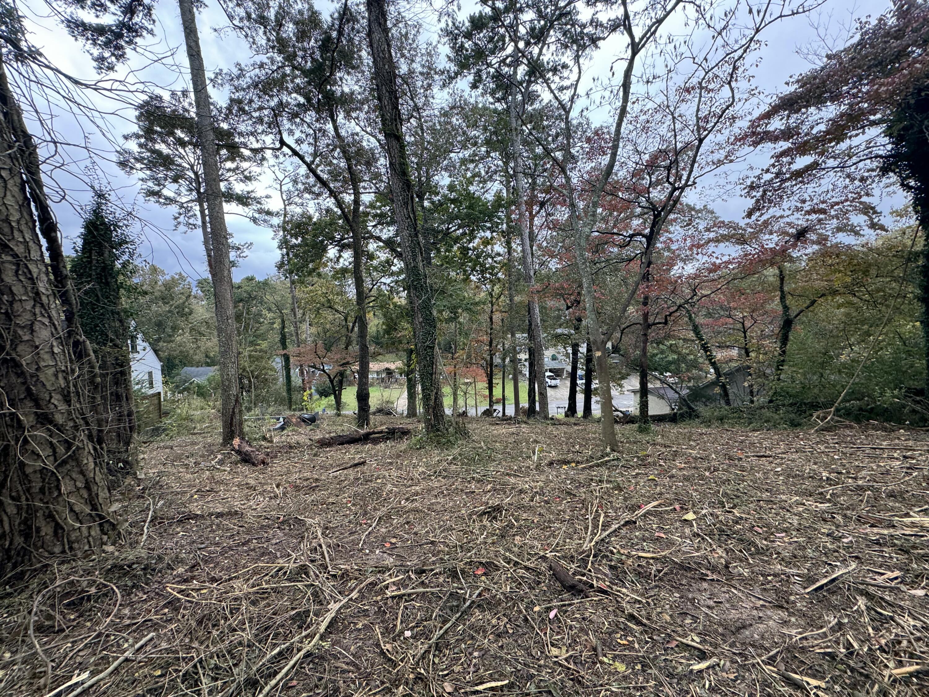 217 West Ridgewood Avenue Chattanooga, TN 37415 - Photo 10 of 18 IMG_20251030_213941