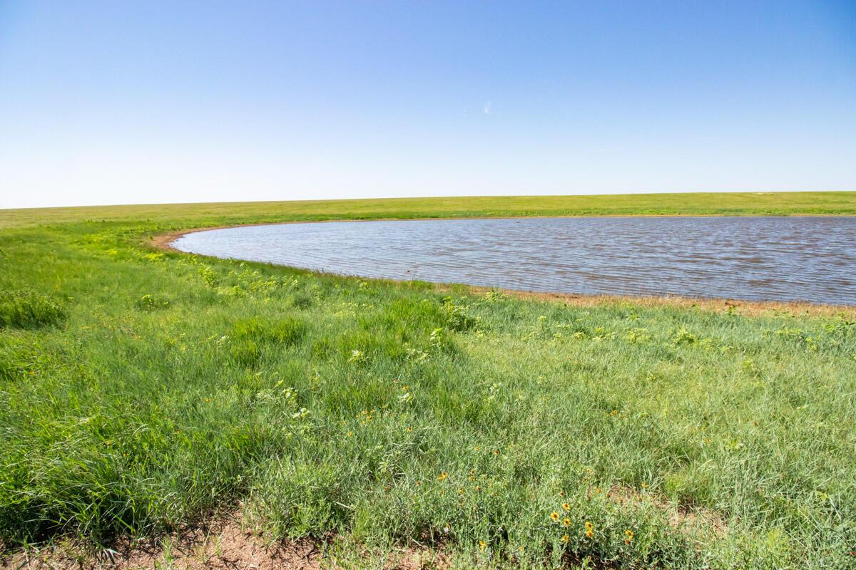 Walcott Ranch Hereford, TX 79045 - Photo 12 of 53 Black_Ranch_012_Tank