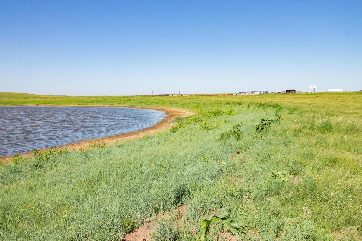 Walcott Ranch Hereford, TX 79045 - Photo 13 of 53 a view of an swimming pool and an outdoor space