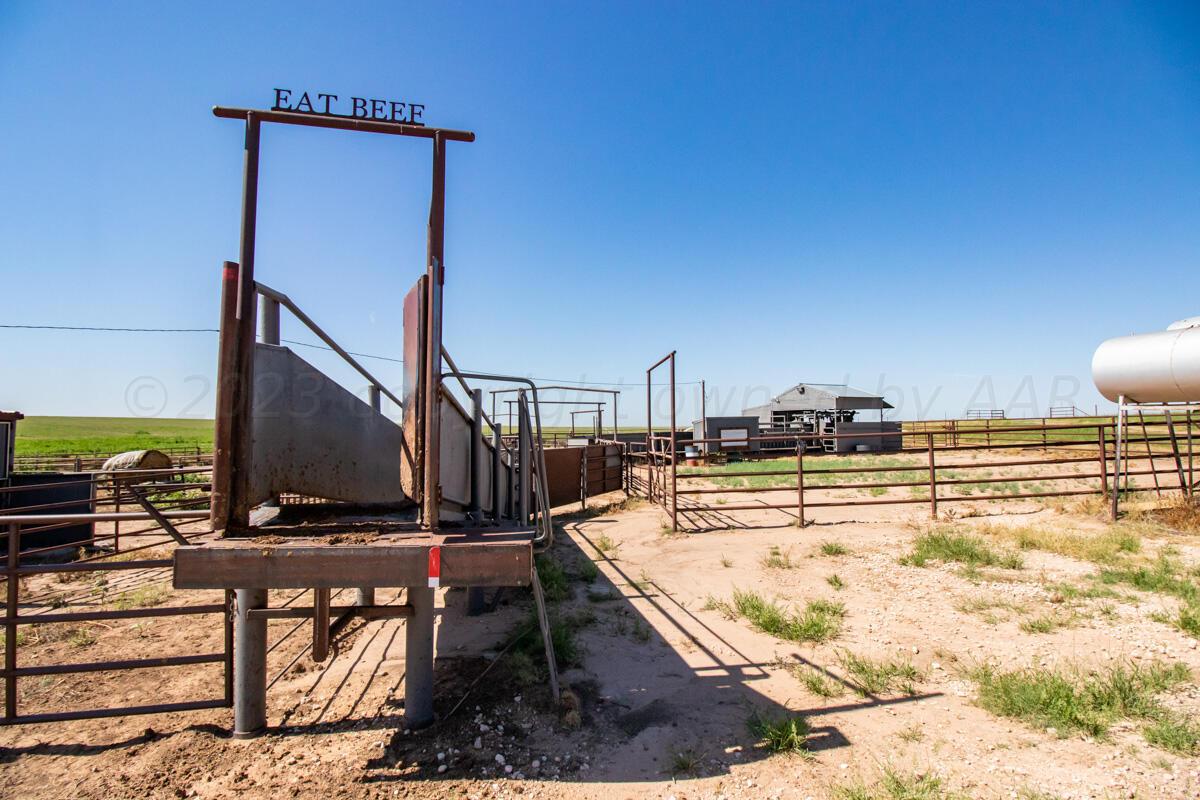 Walcott Ranch Hereford, TX 79045 - Photo 27 of 53 a view of a swimming pool with a patio