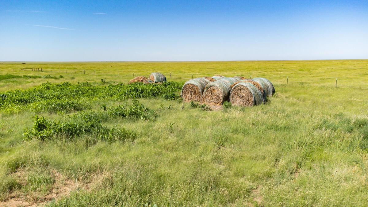 Walcott Ranch Hereford, TX 79045 - Photo 38 of 53 a view of beach and ocean