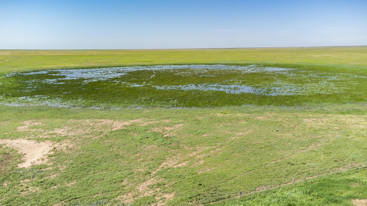 Walcott Ranch Hereford, TX 79045 - Photo 43 of 53 a view of an ocean