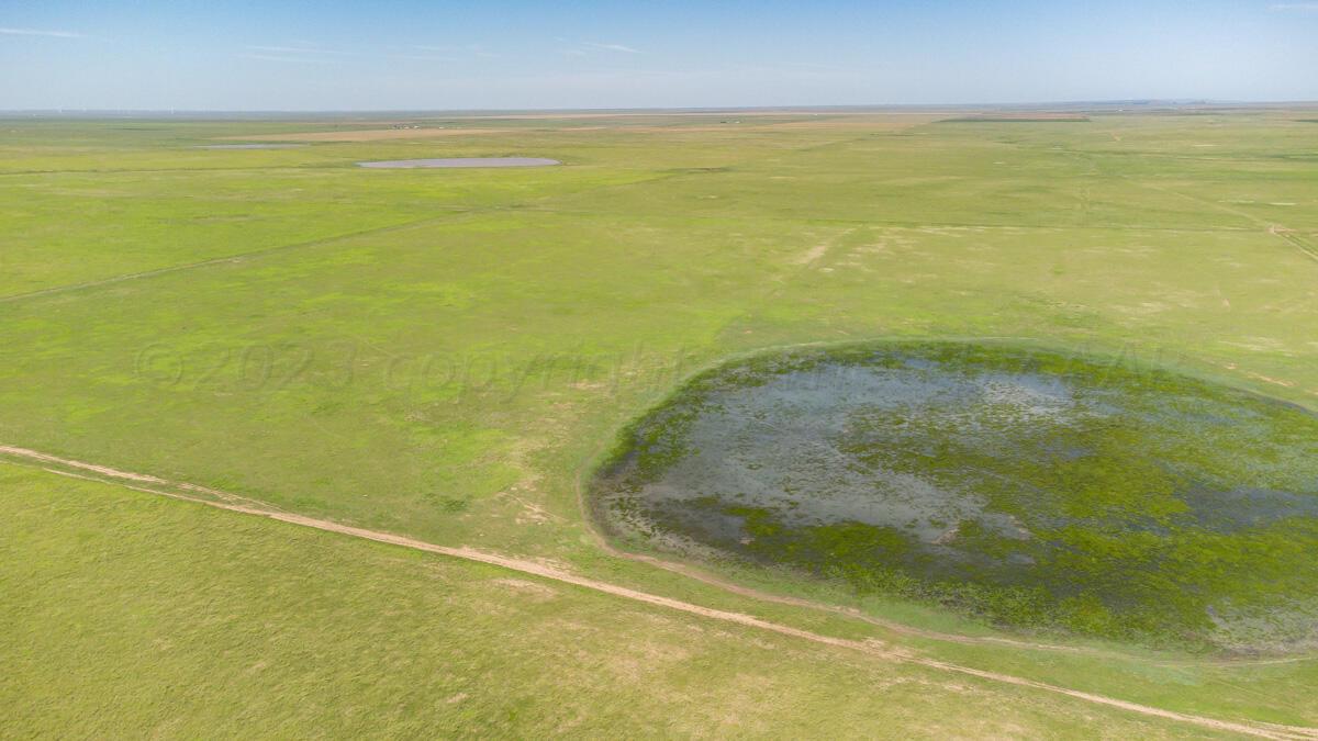 Walcott Ranch Hereford, TX 79045 - Photo 48 of 53