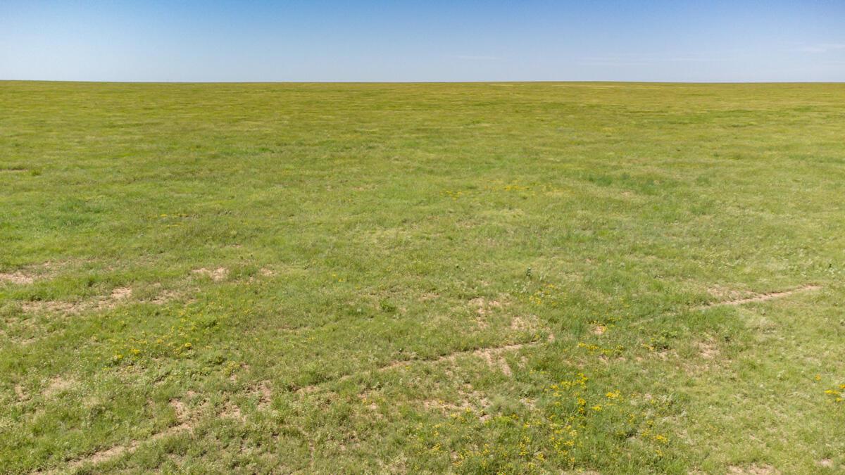 Walcott Ranch Hereford, TX 79045 - Photo 53 of 53 a view of an ocean