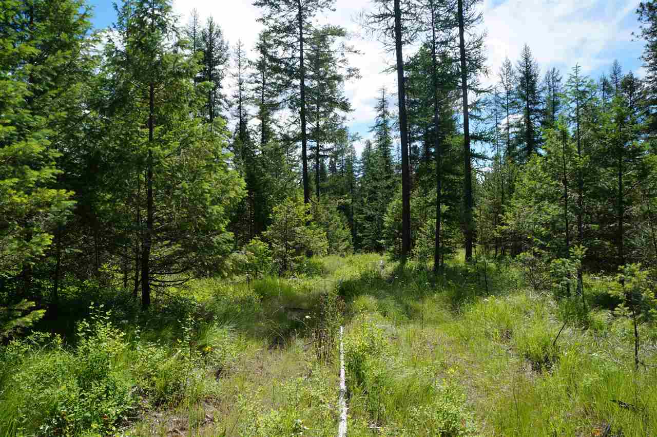 46-xxb Jepsen Road Valley, WA 99181 - Photo 1 of 20