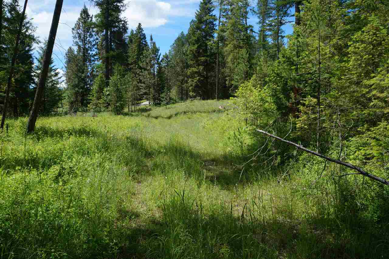 46-xxb Jepsen Road Valley, WA 99181 - Photo 14 of 20