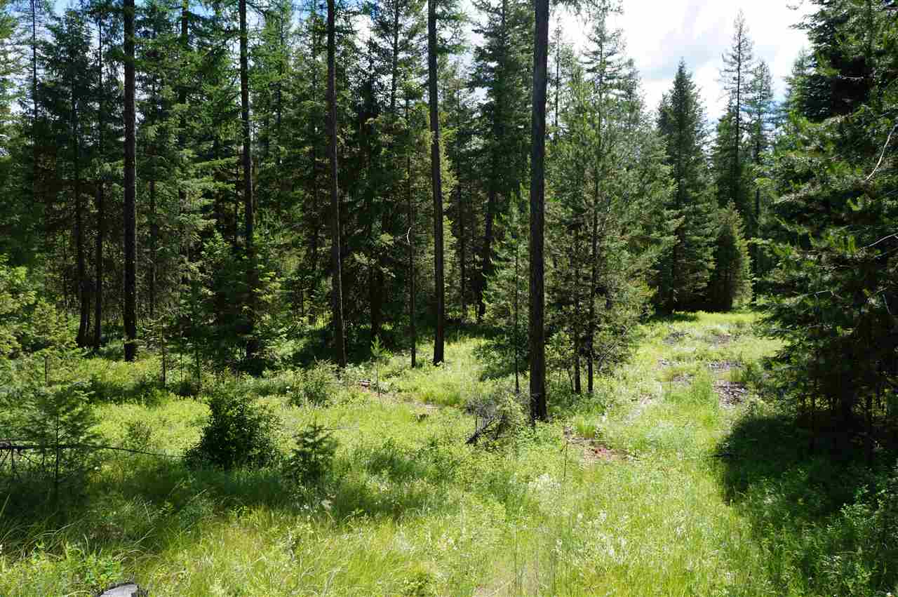 46-xxb Jepsen Road Valley, WA 99181 - Photo 3 of 20