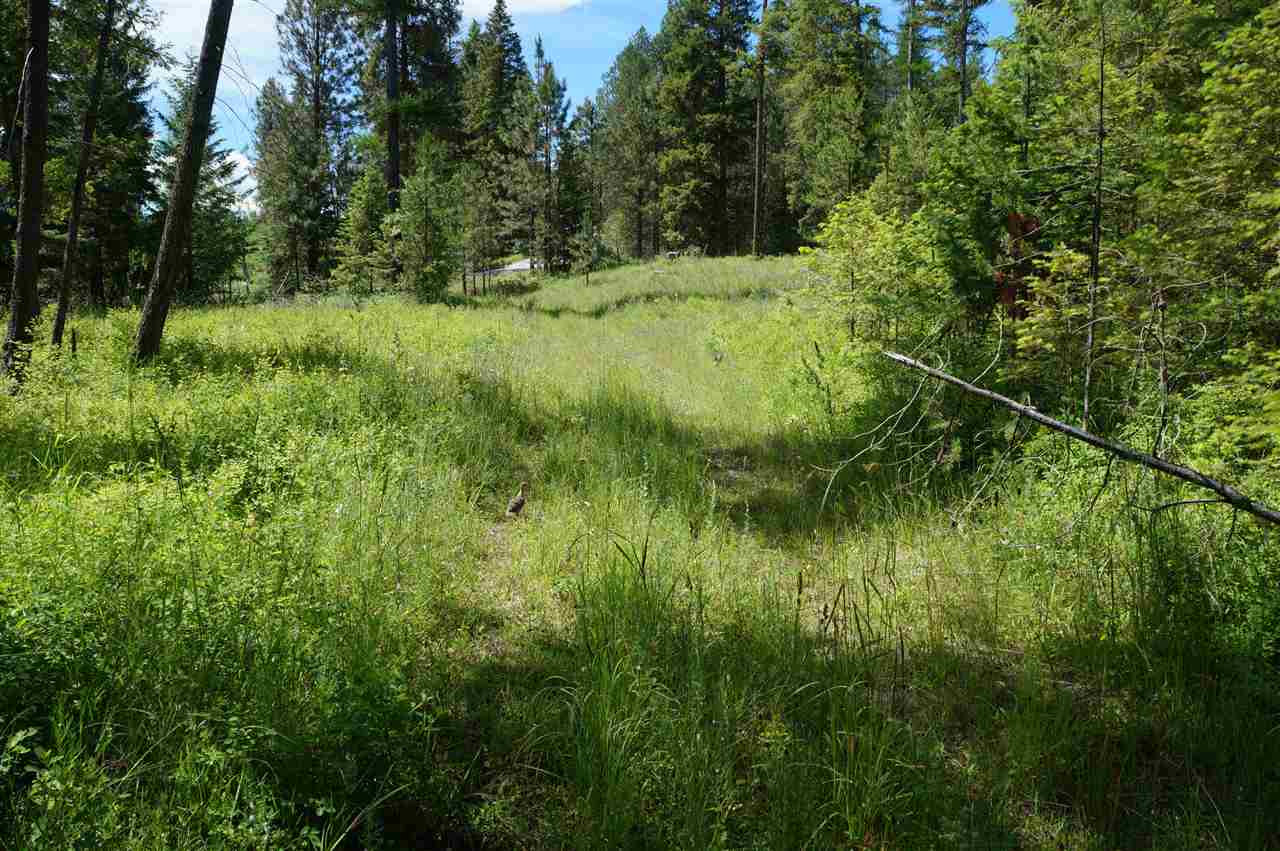 46-xxb Jepsen Road Valley, WA 99181 - Photo 4 of 20