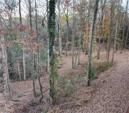a view of a yard with trees