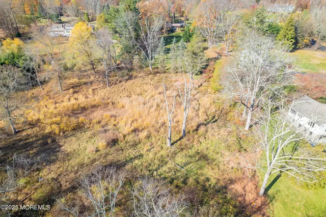 a view of a yard with a tree