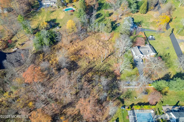 a view of yard with green space