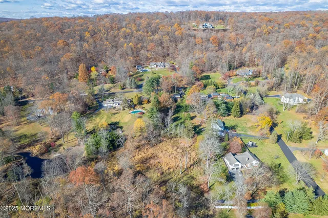 a view of outside plants and large trees