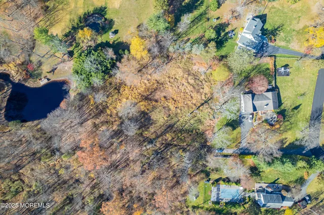 a view of a yard with a tree