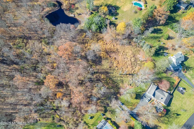 a view of a tree in a yard
