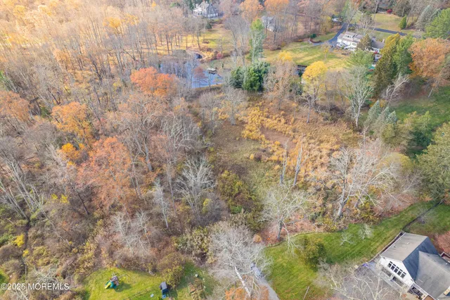a view of a forest filled with trees