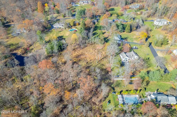 a view of a tree in a yard